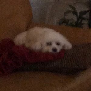 Meet your Posher, ZÃ©